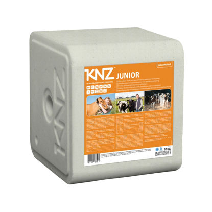 Afbeelding van LIKSTEEN KNZ JUNIOR 10KG