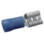 Afbeelding van VLAKSTEKKERHULS 6,3X0,8 BLAUW 25ST