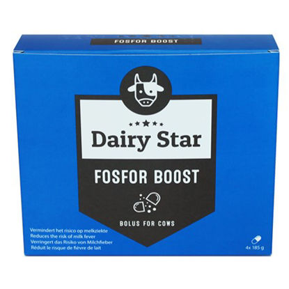 Afbeelding van FOSFOR BOLUS DAIRY STAR BOOST 4ST