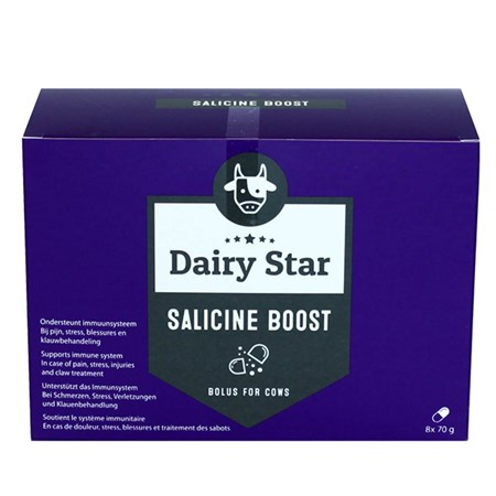 SALICINE BOLUS DAIRY STAR BOOST 8X70 GR
