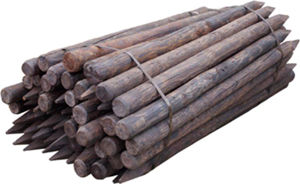 Afbeelding voor categorie Palen hout