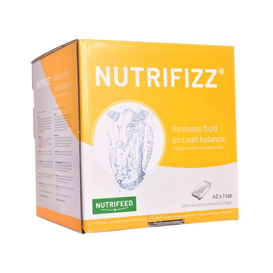 Afbeelding van NUTRIFIZZ BRUISTABLET 42X1 TABS