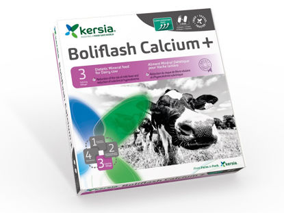 Afbeelding van BOLIFLASH CALCIUM  KERSIA BOLUS 12 STUKS