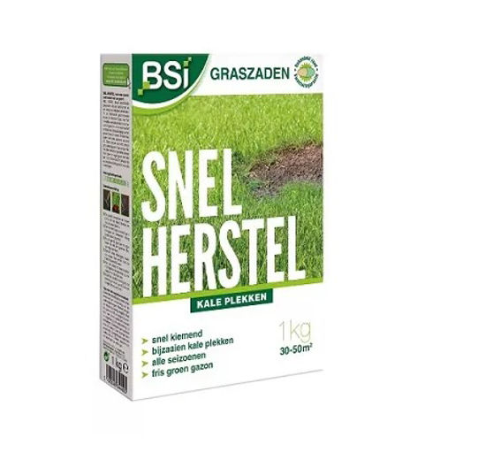 Afbeelding van GRASZAAD BSI HERSTELGAZON 1 KG