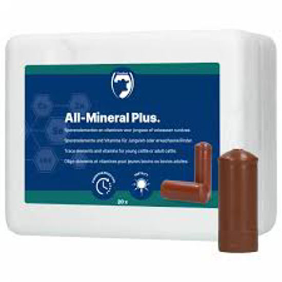 Afbeelding van ALL-MINERALEN BOLUS  20 ST